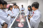  Giảm học phí đến 30 triệu đồng, Trường Đại học Quốc tế Hồng Bàng nói gì?