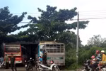 Khởi tố vụ án buôn thuốc lá lậu cực lớn