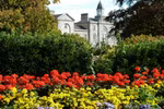 Video: Phoenix Park - Ireland