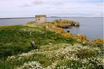 Bài dự thi số 45: Chào Ireland, Tôi đến từ Việt Nam!