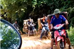 Trực diện cung đường vận chuyển gỗ lậu giữa ban ngày