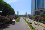 Đường Hà Nội ngập tím sắc bằng lăng