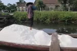 Nhọc nhằn gom góp “quà” của biển