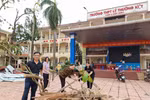 Hải Phòng: 303 công trình trường học bị ảnh hưởng do bão, khẩn trương khắc phục