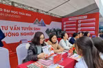 Tỉnh Thái Bình có nhiều khu công nghiệp, cơ hội việc làm cho sinh viên ra sao?