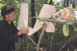 Chuyện ăn Tết tốn kém và sửng sốt của các đại gia