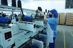 Đề xuất các giải pháp nhằm hạn chế tác động tiêu cực của dịch bệnh