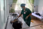 Thủ tướng yêu cầu tăng cường công tác phòng chống bệnh bạch hầu