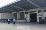 Danh mục hàng hóa nhập khẩu không được gửi kho ngoại quan