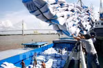 Thủ tướng yêu cầu tạm dừng ký hợp đồng xuất khẩu gạo