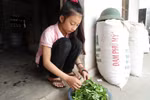 Cô học trò nghèo quê Bác học giỏi tiếng Anh
