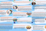 Infographic: Hành trình "long đong" của môn Sử trong Chương trình GDPT mới