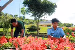 Thăm doanh trại đẹp như mơ của bộ đội ra đa