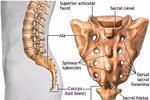 10 căn bệnh đáng sợ "rình rập" dân văn phòng