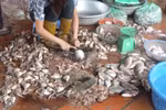 Xem những hình ảnh này, thực khách còn dám ăn bún cá ở Hà Nội?