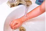 Sâu róm - Mối nguy hại cho trẻ 