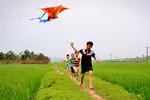 Mùa hè với học trò của tôi