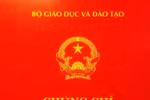 Nghịch lý viên chức đủ chứng chỉ ngoại ngữ vẫn không nói được 1 câu ra hồn