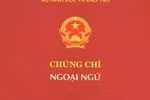 Học tiếng Anh từ tiểu học đến đại học, giáo viên vẫn phải bỏ tiền mua chứng chỉ