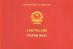 Không bắt Giám đốc Sở đạt chuẩn ngoại ngữ sao giáo viên phải có chứng chỉ A2, B1