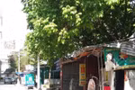 Thành phố Hà Nội cần xử lý nghiêm vụ đất công bị xẻ thịt ở phường Mỹ Đình 1