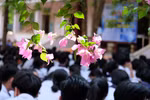 Quảng Trị tháng 5, những cơn gió Lào quẹt qua mơ ước