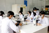Ảnh minh họa: Mộc Trà.