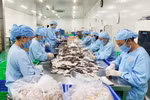 Hà Nội tạo động lực cho doanh nghiệp nhỏ và vừa khởi nghiệp