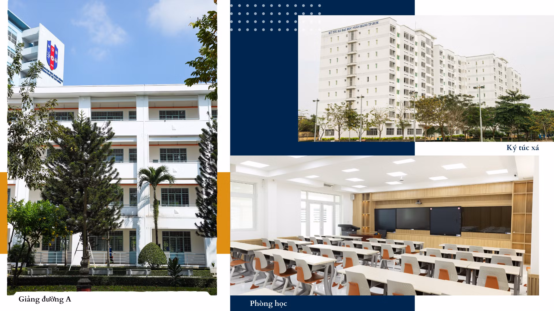 blue-and-yellow-modern-minimalist-university-education-presentation-1.png