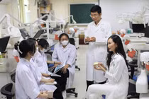 Bộ GDĐT công bố điểm sàn khối ngành sư phạm, sức khỏe và pháp luật năm 2026: Từ 17 đến 22 điểm