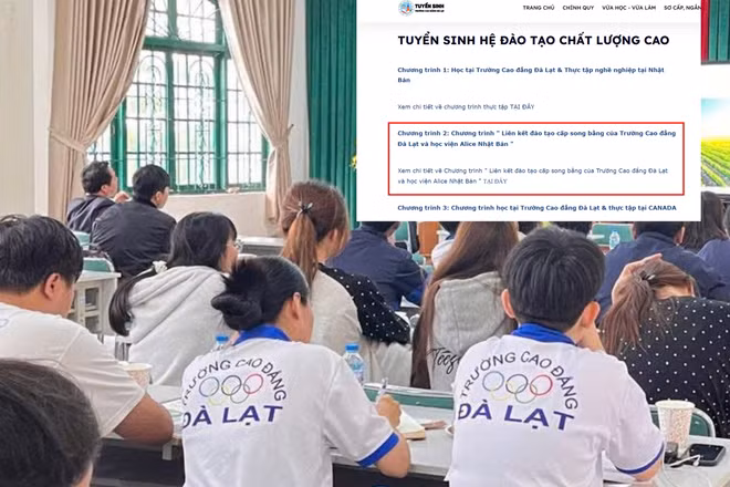 Tạp chí băn khoăn chương trình song bằng, CĐ Đà Lạt nói đang rà soát và chuẩn hóa thông tin trên web