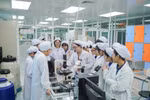 Đưa tiến sĩ ra doanh nghiệp: Cần môi trường làm việc và cơ chế nhân sự phù hợp khi quay về bục giảng