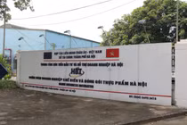 "Người trong cuộc" chia sẻ lợi ích khi tham gia Vườn ươm 