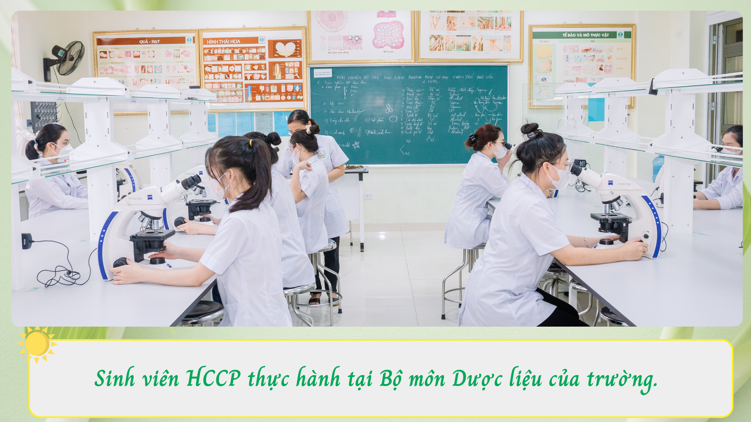 hccp-2.png