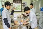Cùng đào tạo ngành Thú y, điểm chuẩn của một số CSGDĐH ở 3 miền Bắc-Trung-Nam có chênh lệch