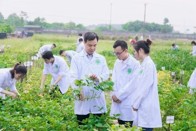 Từ nghịch lý thị trường đến kiến nghị thể chế quản trị đại học trong đào tạo nhân lực nông nghiệp