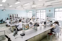 Đề xuất chuyển khoa, viện trong đại học vùng/quốc gia về trường thành viên để tránh trùng chéo