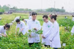 Từ nghịch lý thị trường đến kiến nghị thể chế quản trị đại học trong đào tạo nhân lực nông nghiệp