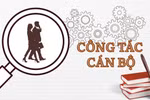 Chi tiết các bước của quy trình bổ nhiệm và giới thiệu cán bộ ứng cử các chức danh lãnh đạo