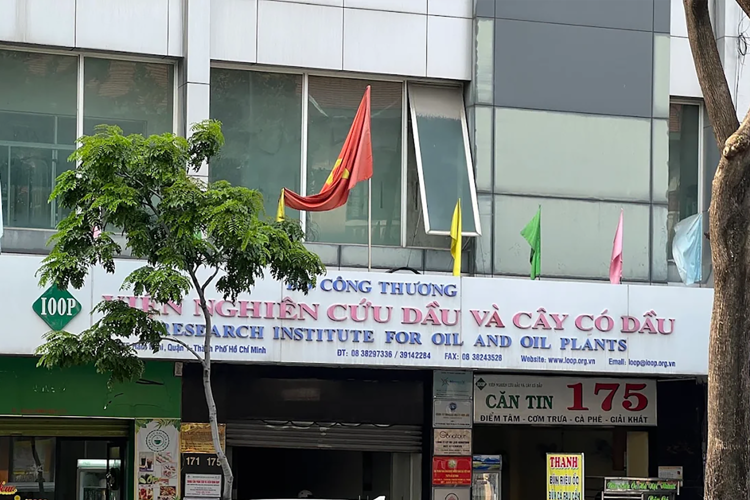 vien.png