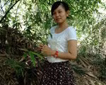 Trần Phước Huệ Như, Đồng Tháp, THCS Lưu Văn Lang (1146)