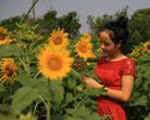 Triệu Thị Thanh Dung, Vĩnh Phúc, CĐ Sư phạm Trung ương (967)