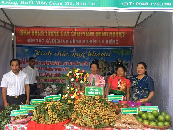 Sản phẩm của người nông dân các dân tộc ở Sơn La đã vươn ra thế giới. (Ảnh: Baotainguyenmoitruong)
