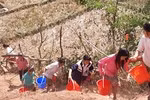 Mùa khát ở Na Cô Sa