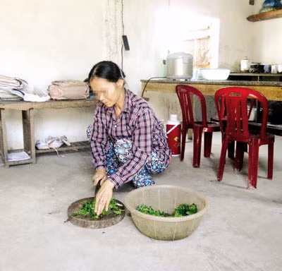Chị Nguyễn Thị A được người dân đồn đại là một trong số những người chữa khỏi bệnh nhờ uống nước tiểu. Theo như lời người dân ở đây thì có rất nhiều người mắc bệnh nan y đã được chữa khỏi nhờ phương pháp có một không hai này. Chị A kể lại: "Mới đầu uống, tôi cảm thấy... khai khai , vị rất ngang, khó uống. Nhưng sau một thời gian ăn kiêng, nước giải của tôi trong, không còn mùi khó chịu nữa. Vài tháng, điều trị tích cực bằng "nước thánh, tôi đã dần khỏe lại và có thể đi làm đồng, vui đùa với con cháu..."