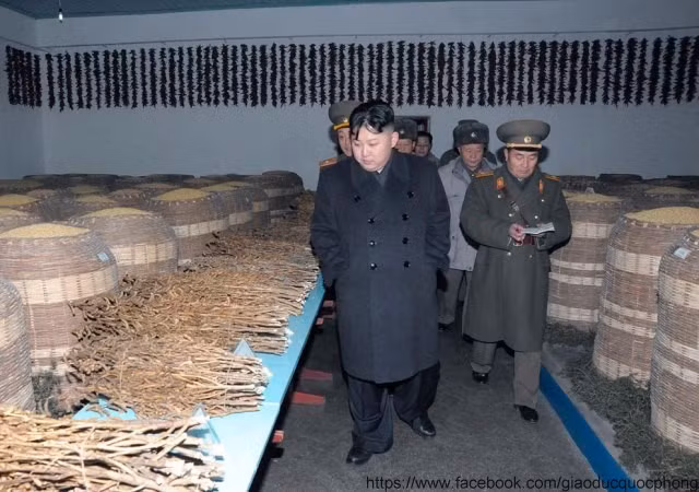 Thời gian gần đây Kim Jong Un liên tục đi thăm các đơn vị quân đội, đặc biệt sau khi Chủ tịch Kim Jong Il – cha ông qua đời.