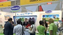 Việc hải quan hướng dẫn thiếu nhất quán dẫn đến hàng loạt doanh nghiệp bị "hồi tố" truy thu thuế, trong đó có Vinamilk. Ảnh: Minh Anh. Việc hải quan hướng dẫn thiếu nhất quán dẫn đến hàng loạt doanh nghiệp bị "hồi tố" truy thu thuế, trong đó có Vinamilk. Ảnh: Minh Anh.
