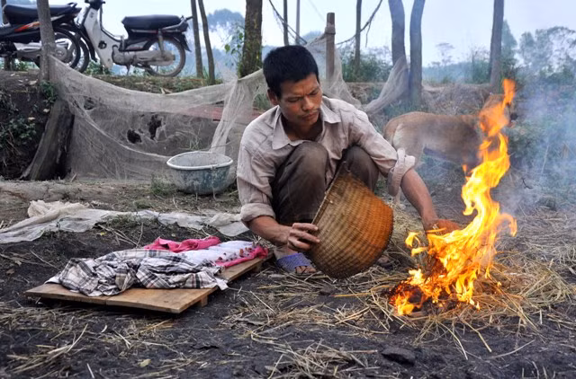 Thui chuột – một trong những công đoạn chế biến thịt chuột làm thay vàng thịt và tạo mùi vị cho thịt chuột sau khi làm lông. Thui chuột – một trong những công đoạn chế biến thịt chuột làm thay vàng thịt và tạo mùi vị cho thịt chuột sau khi làm lông.