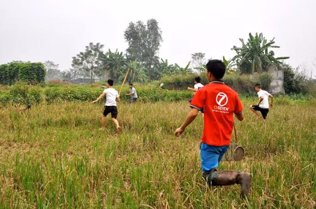 Các thanh niên trong làng thường tranh thủ thời gian rảnh rỗi lại kéo nhau ra đồng săn chuột. Các thanh niên trong làng thường tranh thủ thời gian rảnh rỗi lại kéo nhau ra đồng săn chuột.