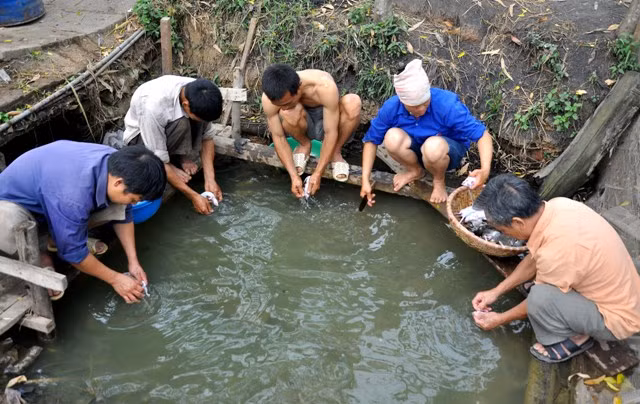 Anh Nguyễn Đức Sơn chia sẻ kinh nghiệm trong việc làm lông chuột: “Làm lông chuột thì cần phải làm dưới nước, lông chuột sẽ rất dễ làm, nếu thiếu nước sẽ bị bóc da chuột ngay” Anh Nguyễn Đức Sơn chia sẻ kinh nghiệm trong việc làm lông chuột: “Làm lông chuột thì cần phải làm dưới nước, lông chuột sẽ rất dễ làm, nếu thiếu nước sẽ bị bóc da chuột ngay”